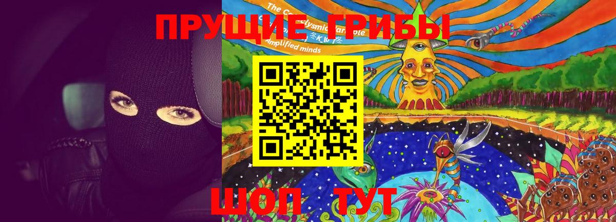 Псилоцибиновые грибы Psilocybine cubensis Назарово