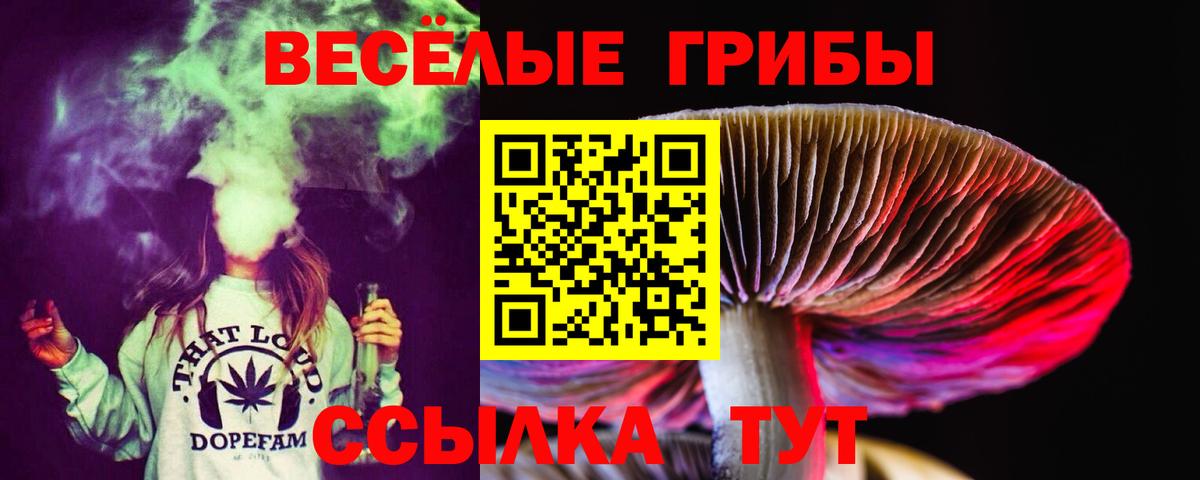 Псилоцибиновые грибы Psilocybine cubensis  Вход с VPN  Назарово 